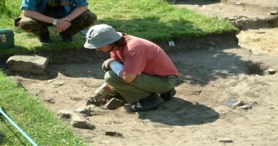 Postgraduate courses in Archaeological Conservation