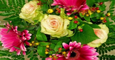 Postgraduate courses in Gardening and Floristry