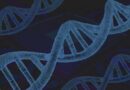 Postgraduate courses in Genetics