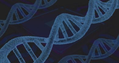 Postgraduate courses in Genetics