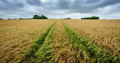 Postgraduate courses in Land Management