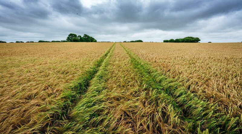 Postgraduate courses in Land Management