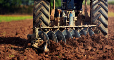 Agricultural Studies in the UK