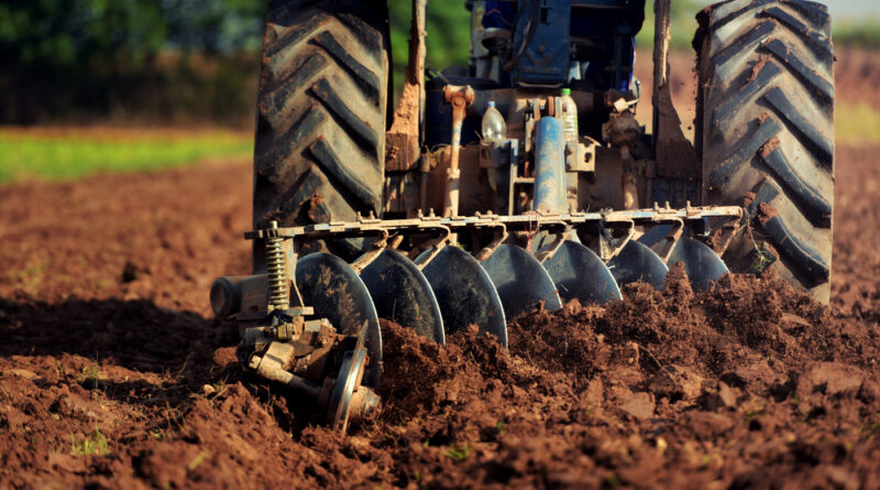 Agricultural Studies in the UK